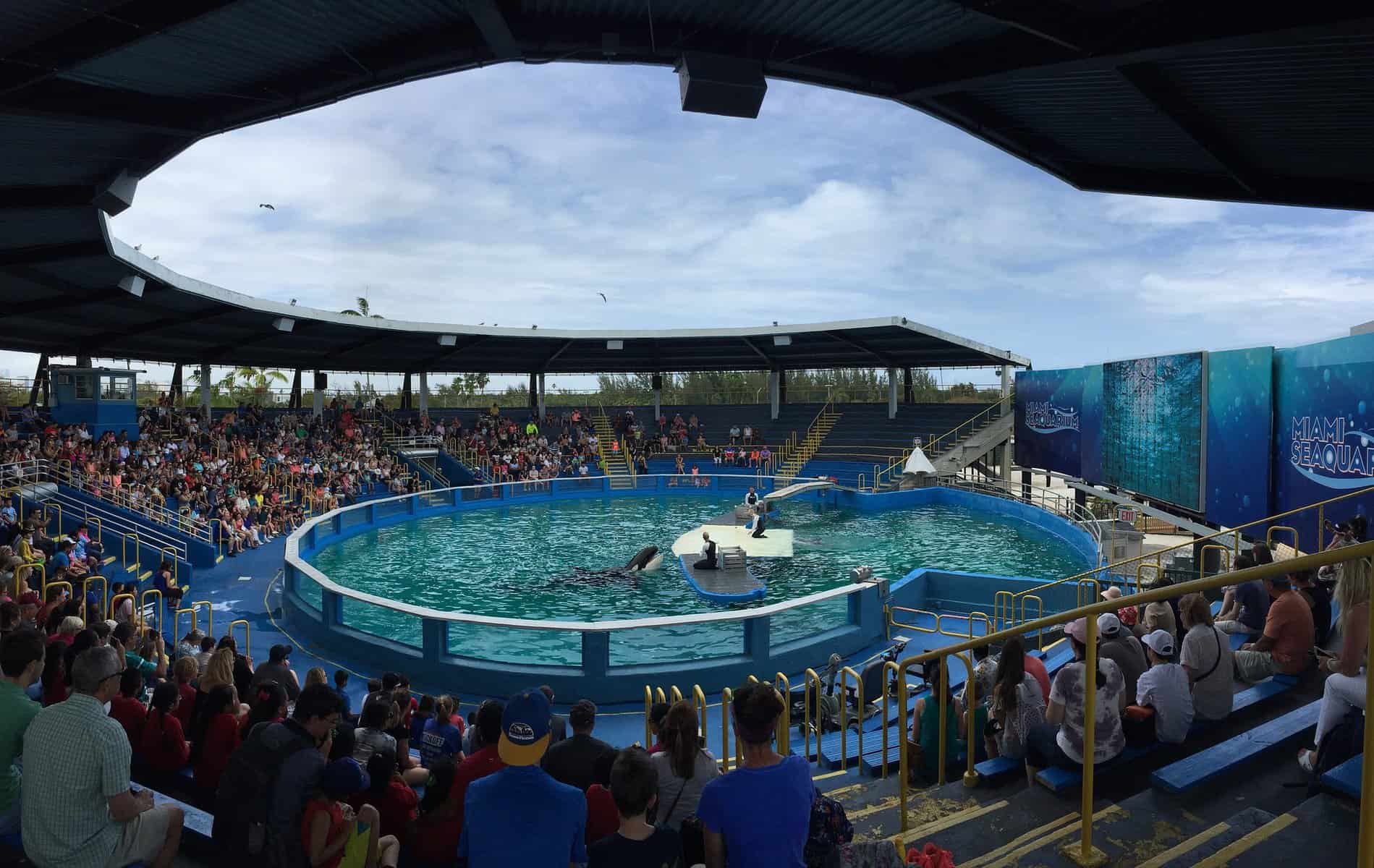 miami seaquarium